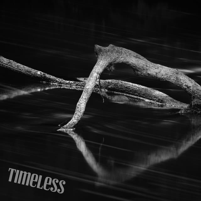 Timeless - Acoustic Guitar Songs