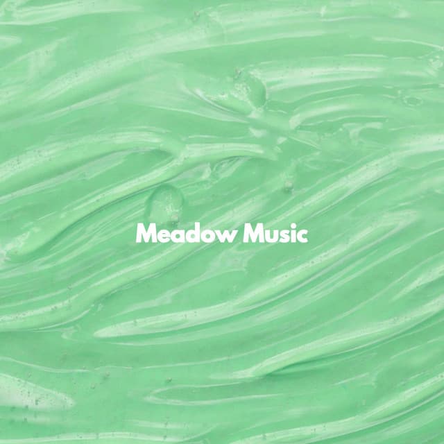 Meadow Music - Coffee Shop Playlist