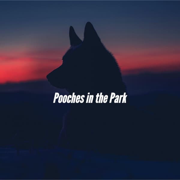 Pooches in the Park - Dog Jazz Music