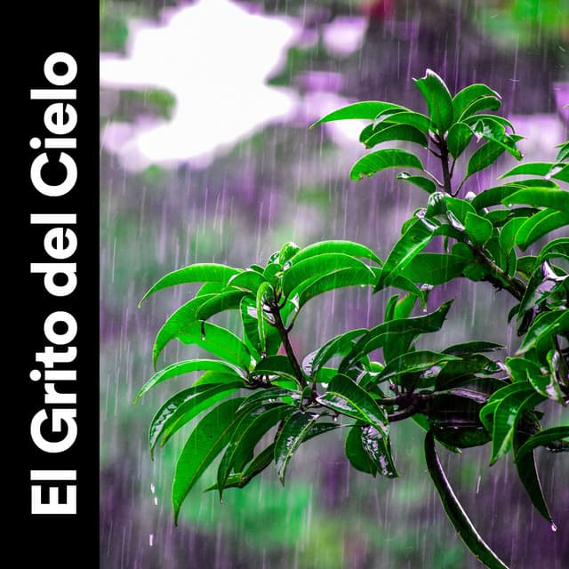 El Grito del Cielo - Cascada de Lluvia