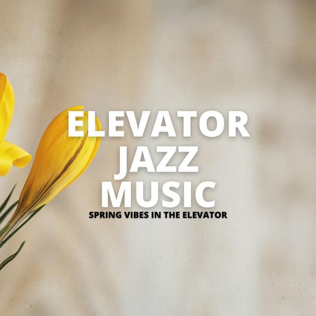 Spring Vibes In The Elevator - Elevator Jazz Music