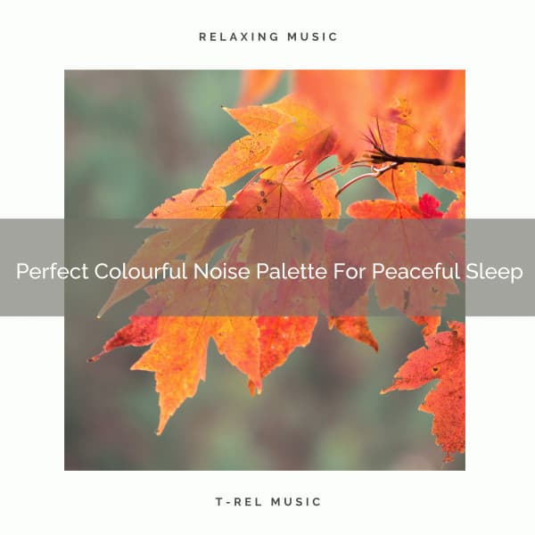 Perfect Colourful Noise Palette For Peaceful Sleep - Brown Noise Therapy / Pure Deep Sleep White Noise