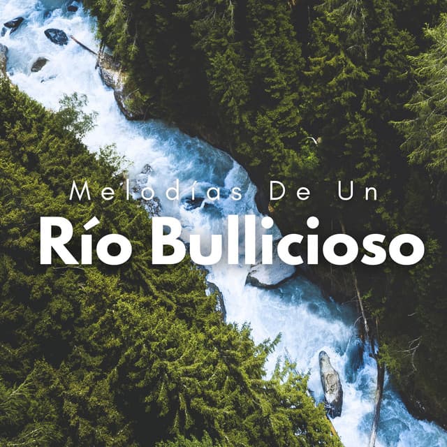 Melodías De Un Río Bullicioso - Sonidos de agua y río