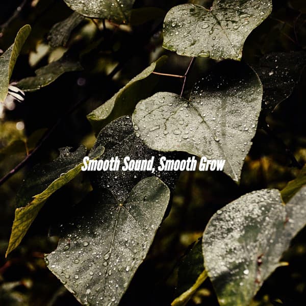 Smooth Sound, Smooth Grow - Quiet Jazz & Coffee