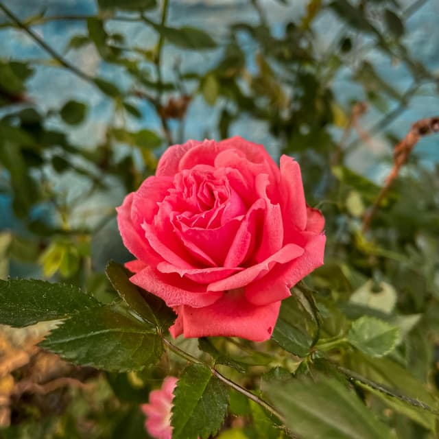 10 Chakras: Peaceful Afterthought - Spa Music Relaxation