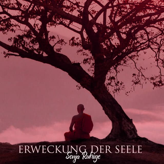 Erweckung der Seele - Sonja Ruhige