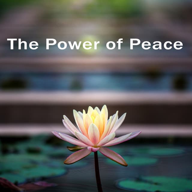 The Power of Peace. Exotic Sounds That Soothes You - Exotic Power Maker