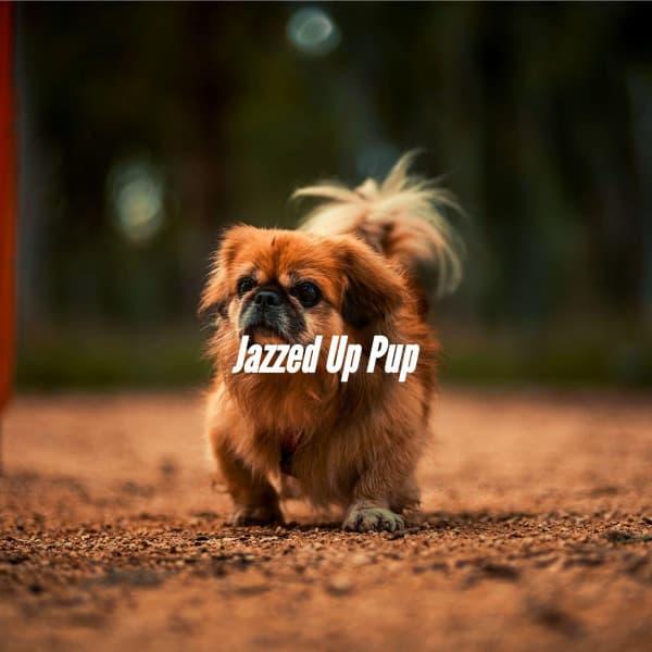 Jazzed Up Pup - Dog Sleeping Soundtracks Deluxe