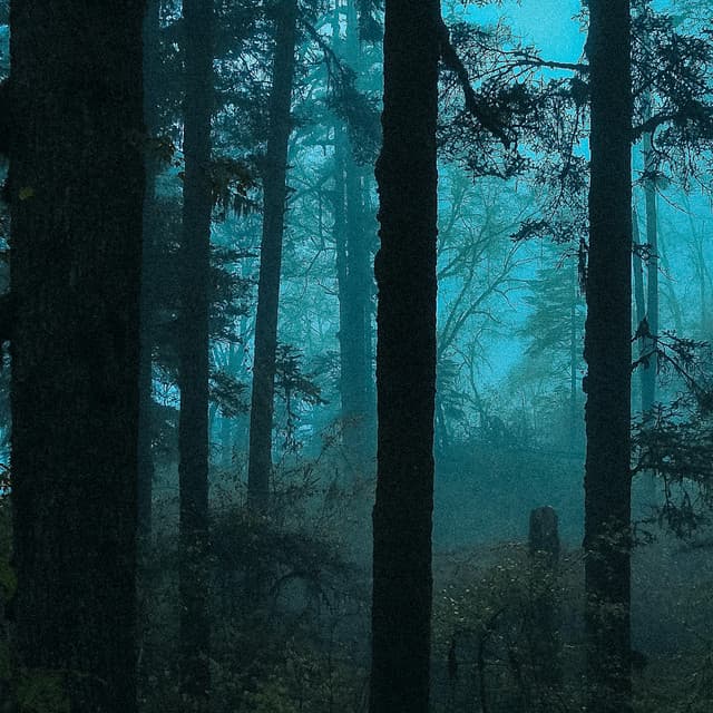 10 Evil Frights: Bloodcurdling Aura - Halloween Music