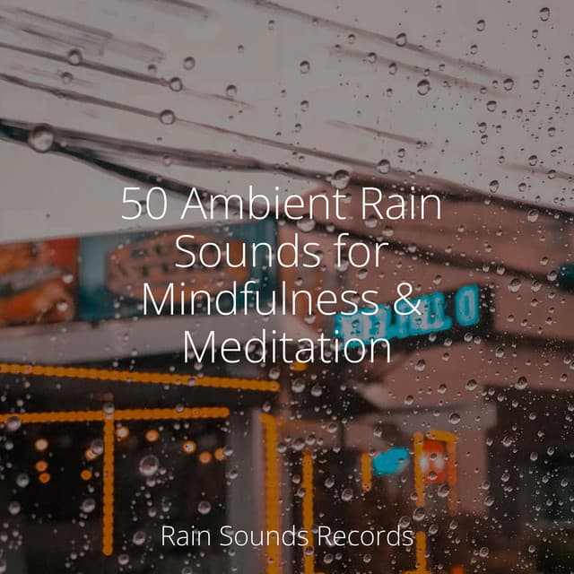 50 Ambient Rain Sounds for Mindfulness & Meditation - Thunderstorm Sound Bank