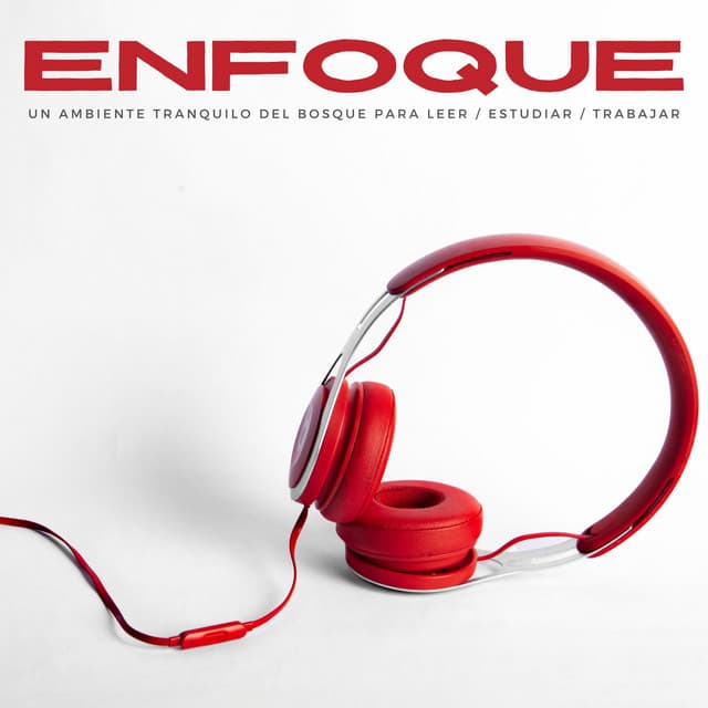 Enfoque: Un Ambiente Tranquilo Del Bosque Para Leer / Estudiar / Trabajar - Suave al aire libre