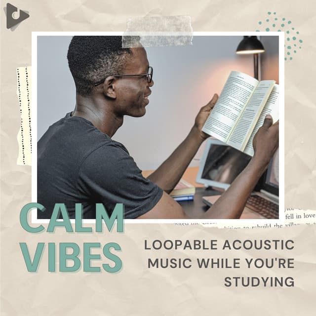 Loopable Acoustic Music While You're Studying - Calm Vibes