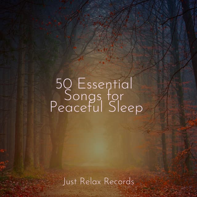 50 Essential Songs for Peaceful Sleep - Yoga Sounds