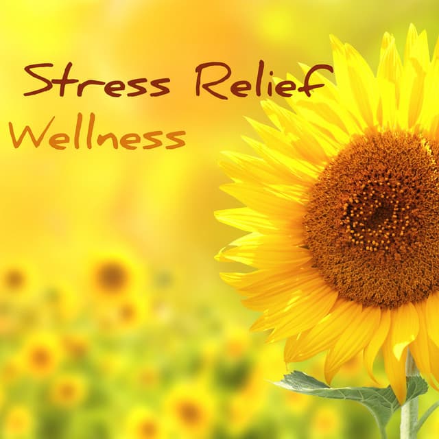 Stress Relief Wellness - Music for Better Mental Health, Dealing With Anxiety - Stress Relief