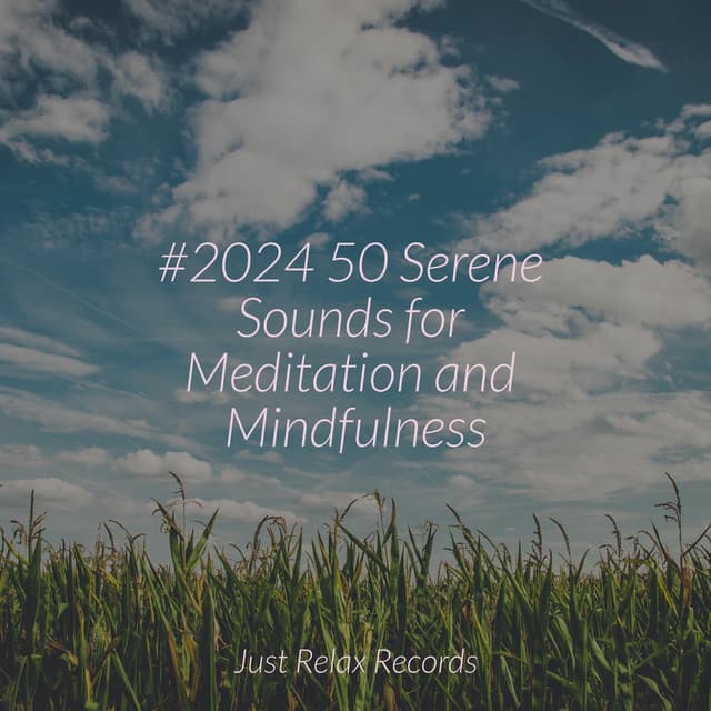 #2024 50 Serene Sounds for Meditation and Mindfulness - Musica de Relajación Academy