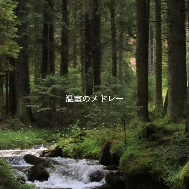 温室のメドレー - Beach Chillout Music