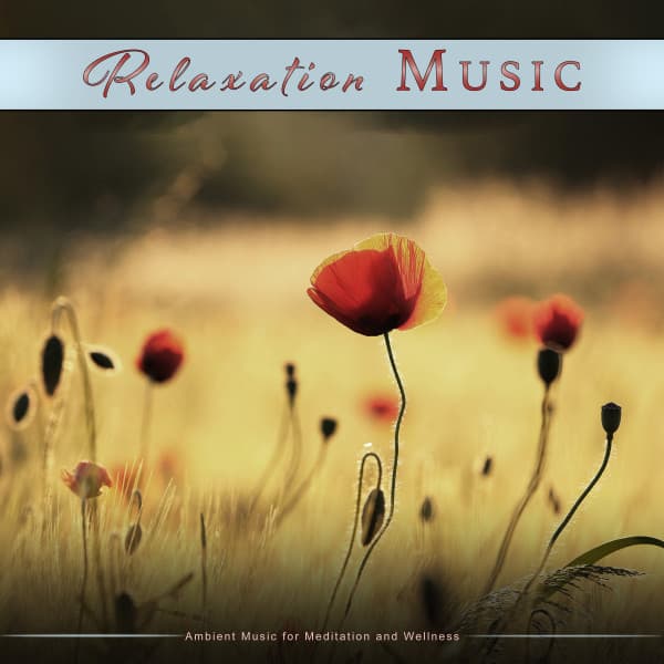 Relaxation Music: Ambient Music for Meditation and Wellness - Relaxation Bliss