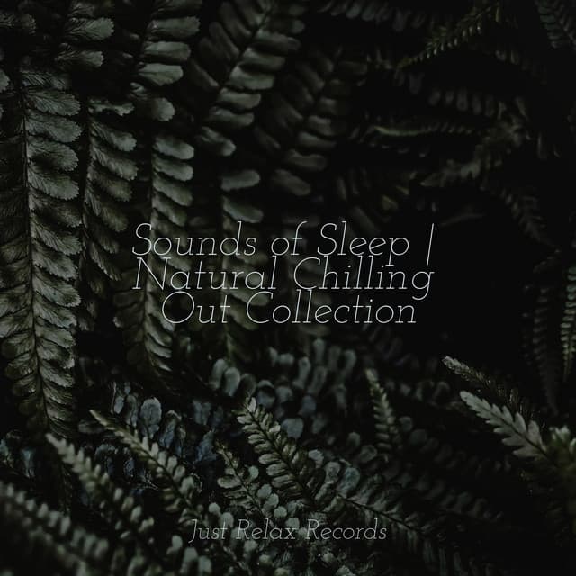 Sounds of Sleep | Natural Chilling Out Collection - Música relaxante