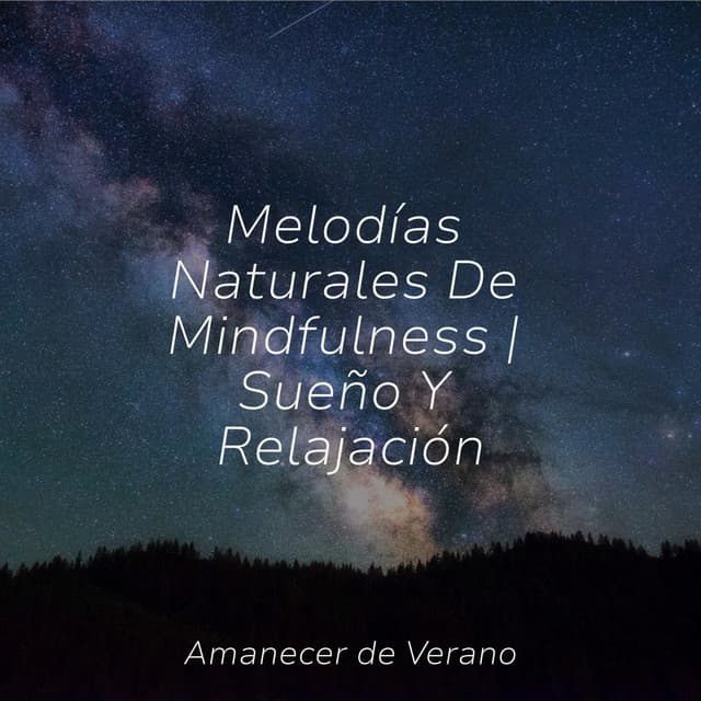 Melodías Naturales De Mindfulness | Sueño Y Relajación - Musica Para Estudiar Academy