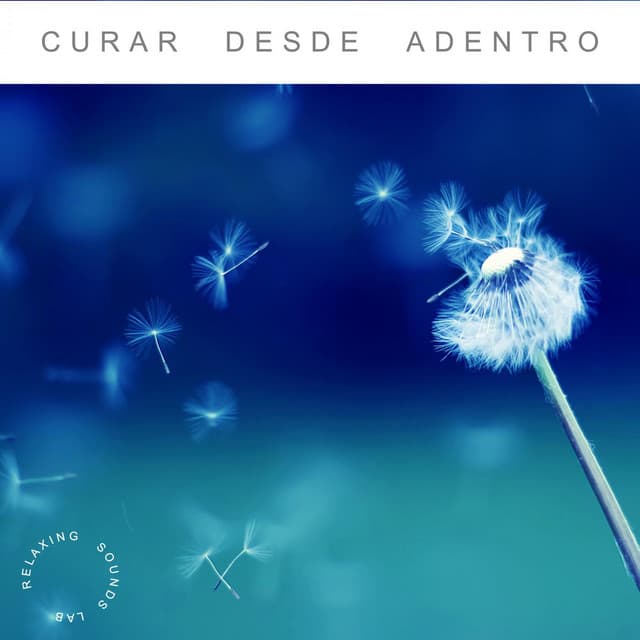 Curar Desde Adentro - Musica para Meditar