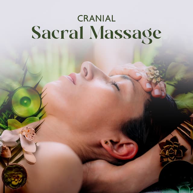Massage Therapy Guru