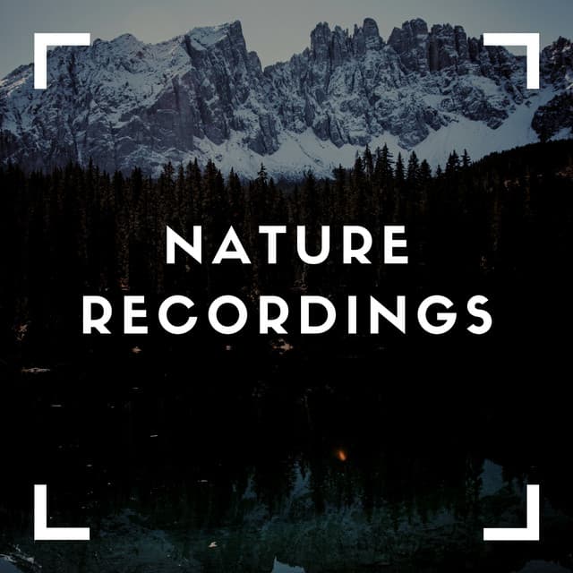 Soothing Natures Sounds - Natural Sample Makers