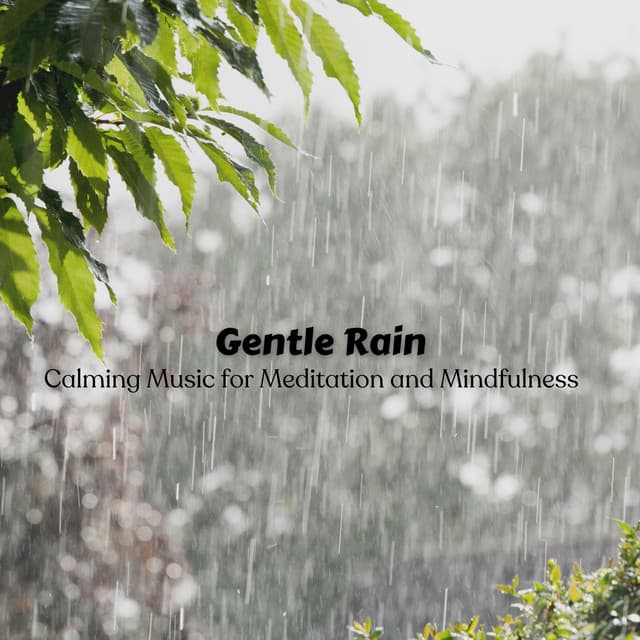 Gentle Rain: Calming Music for Meditation and Mindfulness - Relaxation Rain Meditation