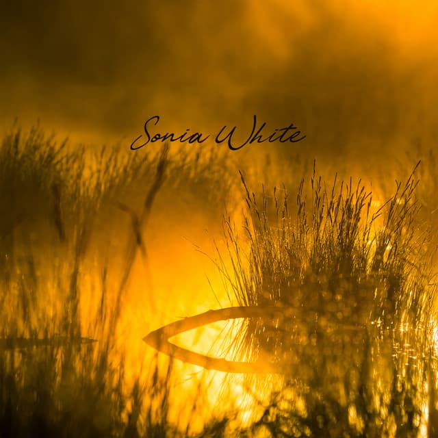 Golden Moment of Quiet - Sonia White