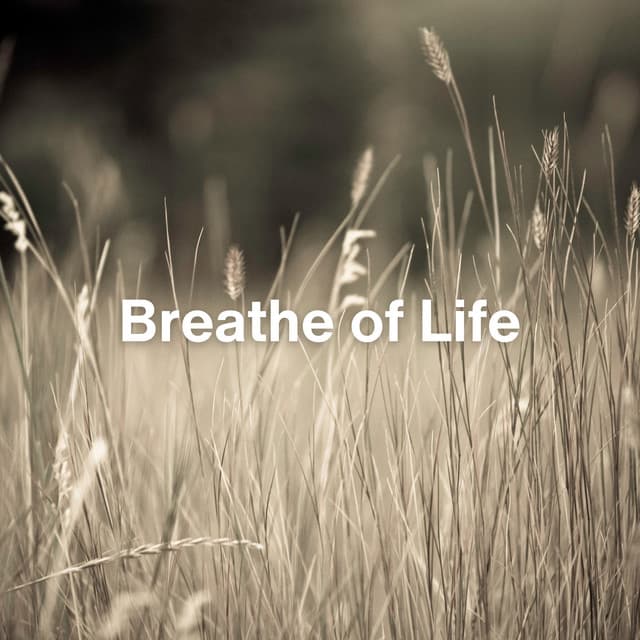 Breathe of Life - Relaxing Collection