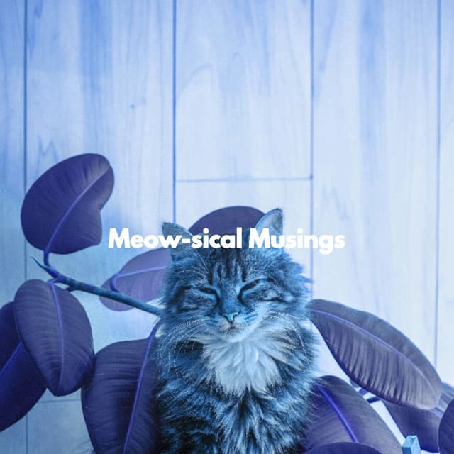 Meow-sical Musings - Cats Music Den
