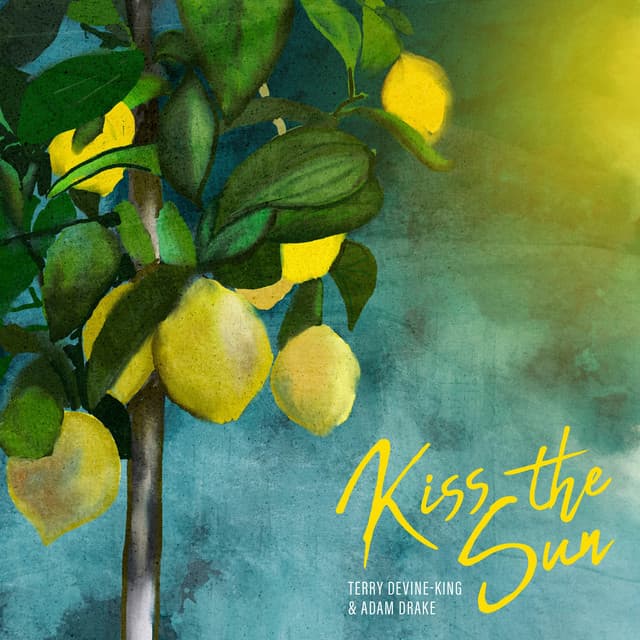 Kiss The Sun - Terry Devine-King