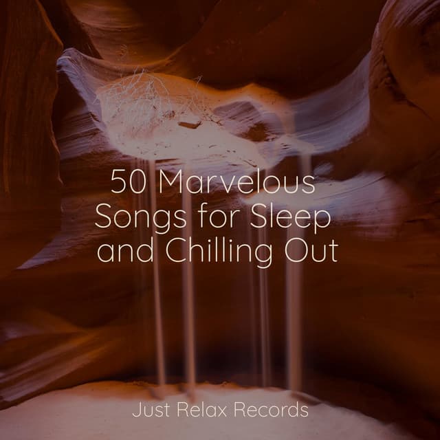 50 Marvelous Songs for Sleep and Chilling Out - Sonidos de la Naturaleza Relajacion