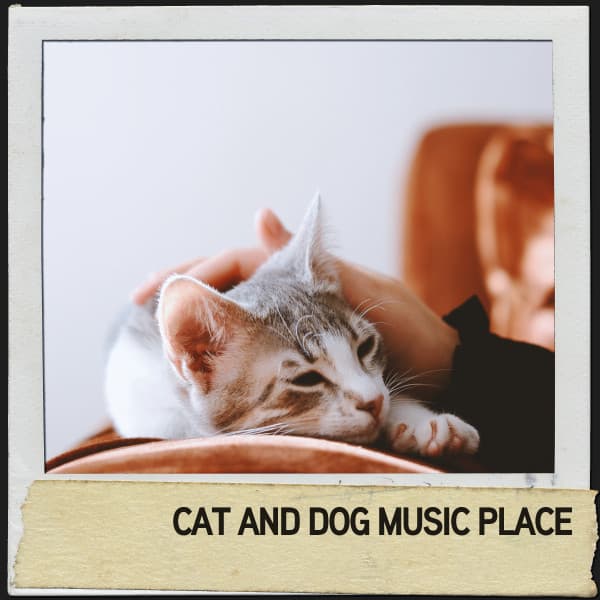 Hundemusikk