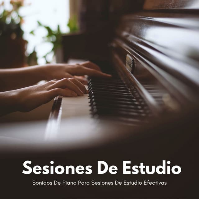 Sonidos De Piano Para Sesiones De Estudio Efectivas - Musica de Piano Clásicos