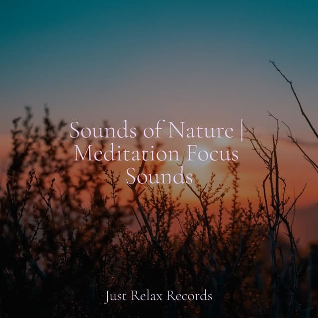 Sounds of Nature | Meditation Focus Sounds - Sonidos De Lluvia y Tormentas