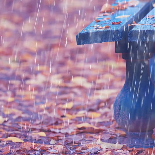 Theta Waves, Rain Spa Harmony - The Premier Deep Sleep Rain Experts