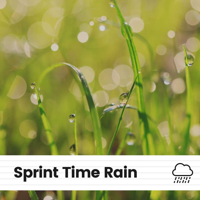 Sprint Time Rain - Rain is my Life
