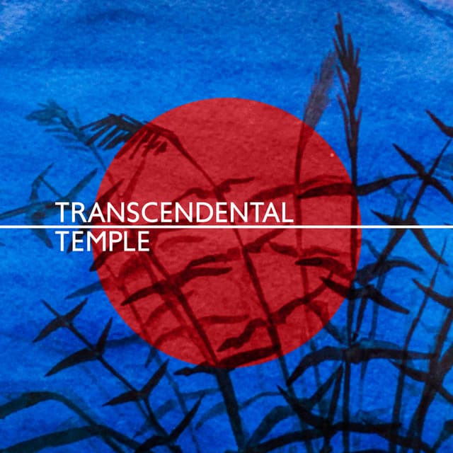 Transcendental Temple - Mark Siddhi