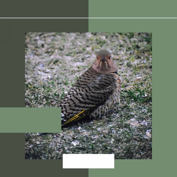 Personal Wellness - Coffee Shop Piano