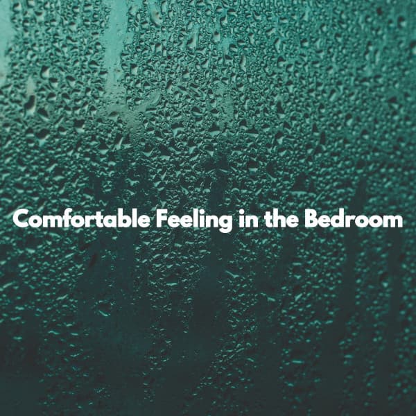 Comfortable Feeling in the Bedroom - Hamilton Cafe Music