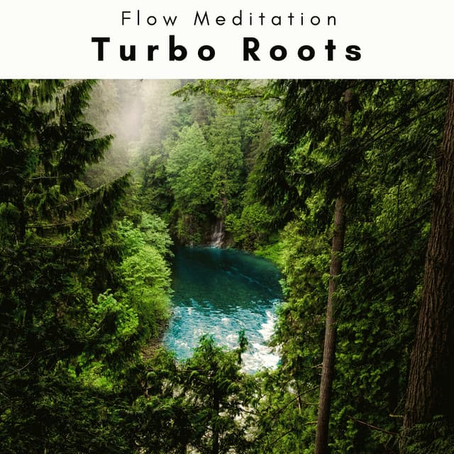 1 0 1 Turbo Roots - Flow Meditation
