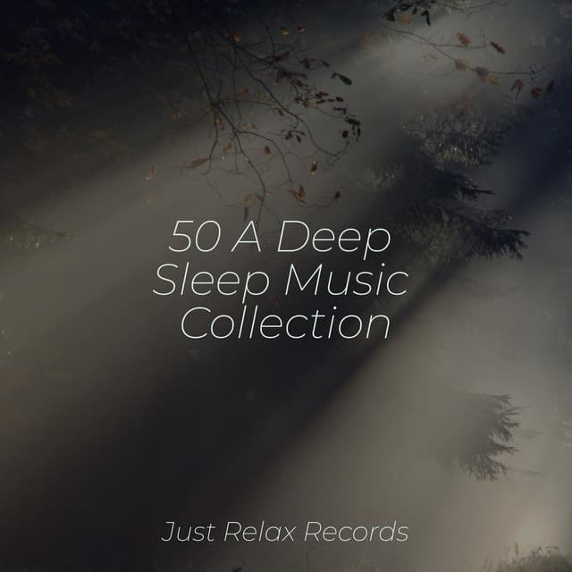 50 A Deep Sleep Music Collection - Sonidos de la Naturaleza Relajacion
