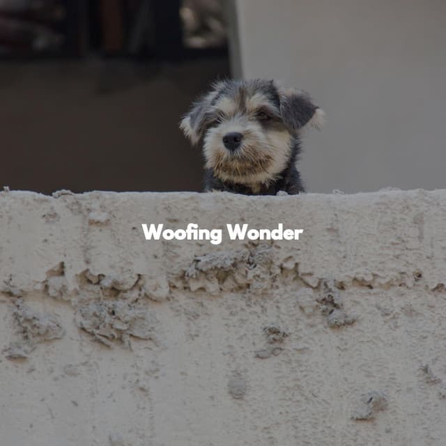 Woofing Wonder - Hotel Lobby Music Beats