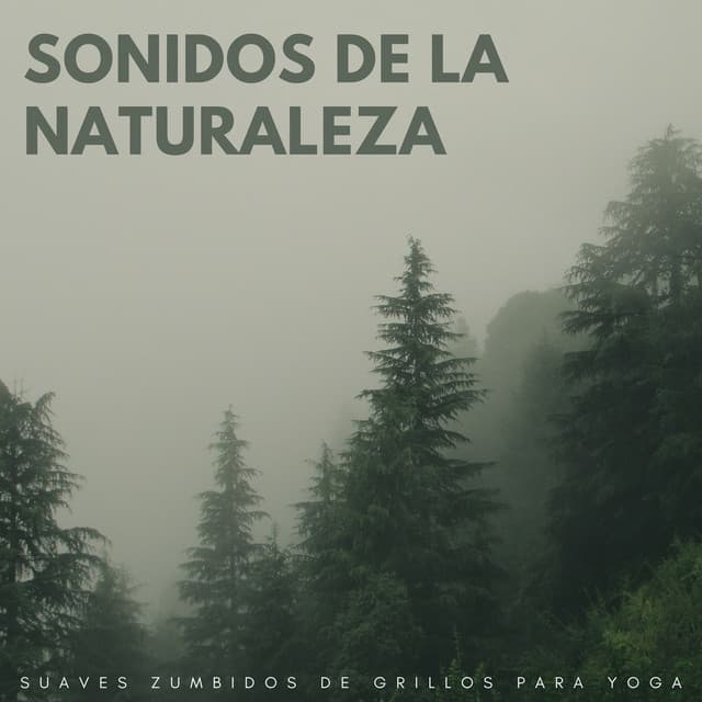 Sonidos De La Naturaleza: Suaves Zumbidos De Grillos Para Yoga - Música de la Naturaleza