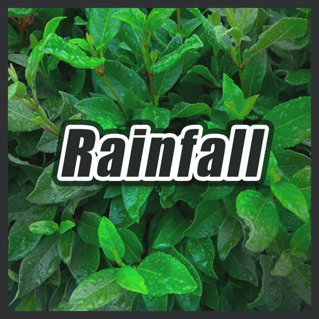 Rainfall - ASMR Earth