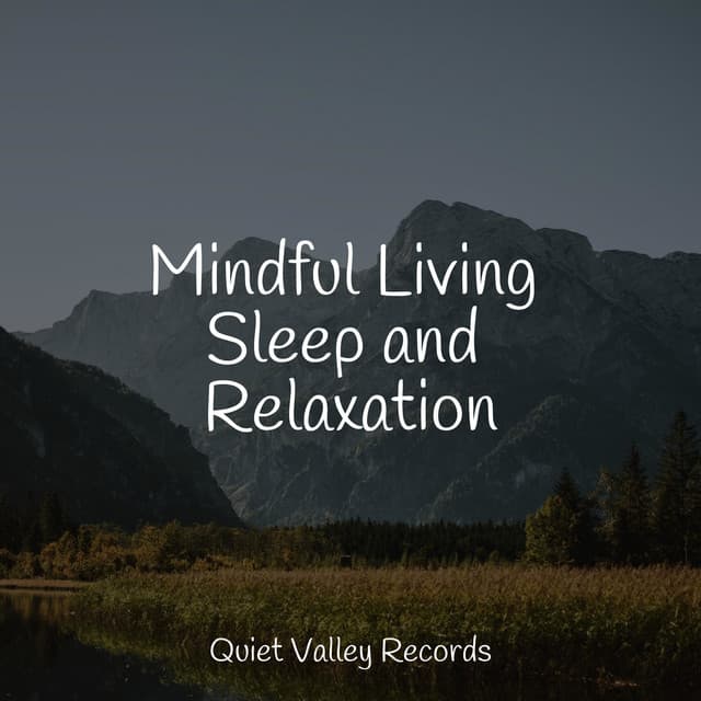 Mindful Living Sleep and Relaxation - Rain Sounds Sleep