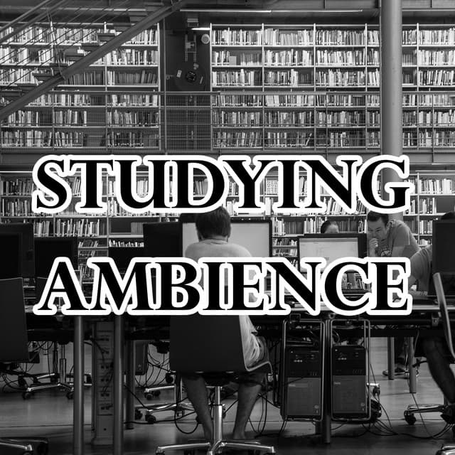 Studying Ambience - White Noise Research