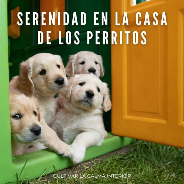 Serenidad En La Casa De Los Perritos: Cultivar La Calma Interior - Música para momentos de tranquilidad