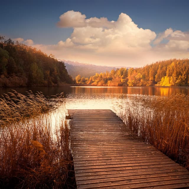 Soft Relaxation: Peaceful Music Sounds - Silent Relaxing Moments