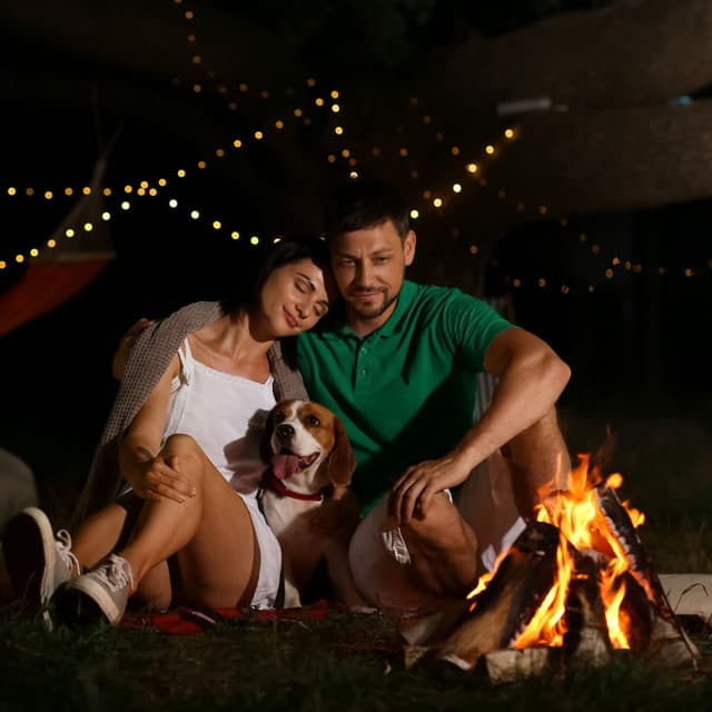 Fireside Dog Bond: Ambient Fire's Mindful Canine Connection - Sounds of Fire for Sleep